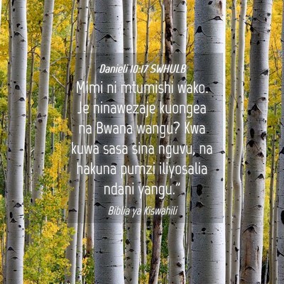 Picture 04 - Danieli 10:17 SWHULB - Mimi ni mtumishi wako. Je ninawezaje kuongea na - Bible Verse Picture
