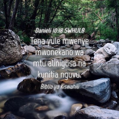 Picture 04 - Danieli 10:18 SWHULB - Tena yule mwenye mwonekano wa mtu alinigusa na - Bible Verse Picture