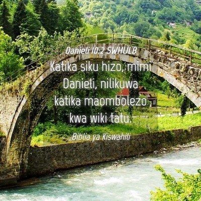 Picture 04 - Danieli 10:2 SWHULB - Katika siku hizo, mimi Danieli, nilikuwa katika - Bible Verse Picture