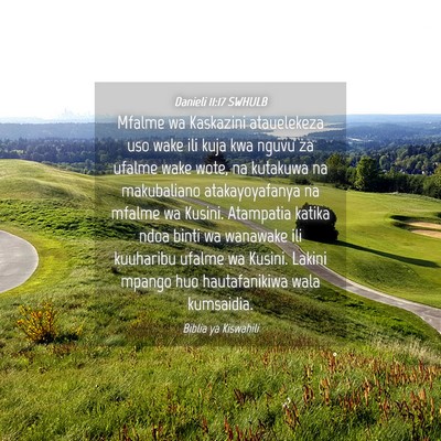 Picture 04 - Danieli 11:17 SWHULB - Mfalme wa Kaskazini atauelekeza uso wake ili kuja - Bible Verse Picture