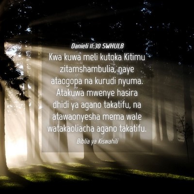 Picture 04 - Danieli 11:30 SWHULB - Kwa kuwa meli kutoka Kitimu zitamshambulia, naye - Bible Verse Picture