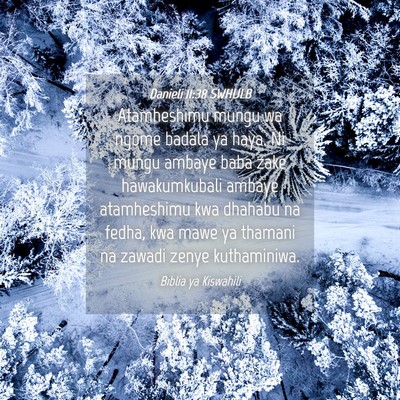 Picture 04 - Danieli 11:38 SWHULB - Atamheshimu mungu wa ngome badala ya haya. Ni - Bible Verse Picture