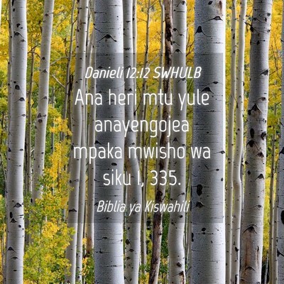Picture 04 - Danieli 12:12 SWHULB - Ana heri mtu yule anayengojea mpaka mwisho wa - Bible Verse Picture