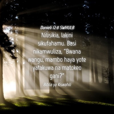 Picture 04 - Danieli 12:8 SWHULB - Nilisikia, lakini sikufahamu. Basi nikamwuliza, - Bible Verse Picture