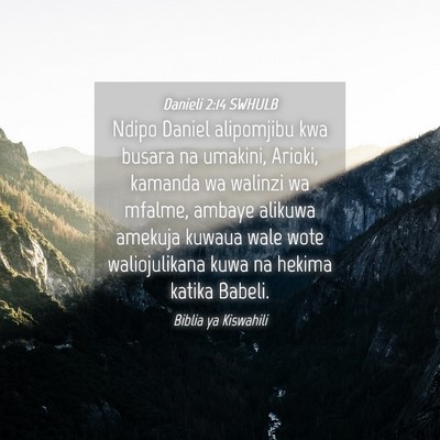 Picture 04 - Danieli 2:14 SWHULB - Ndipo Daniel alipomjibu kwa busara na umakini, - Bible Verse Picture