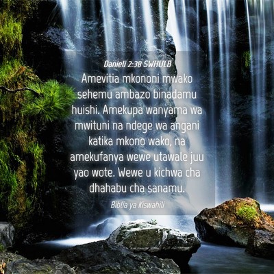 Picture 04 - Danieli 2:38 SWHULB - Amevitia mkononi mwako sehemu ambazo binadamu - Bible Verse Picture