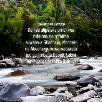 Picture 04 - Danieli 2:49 SWHULB - Danieli alipeleka ombi kwa mfalme, na mfalme - Bible Verse Picture
