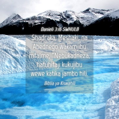 Picture 04 - Danieli 3:16 SWHULB - Shadraka, Meshaki, na Abednego wakamjibu mfalme, - Bible Verse Picture