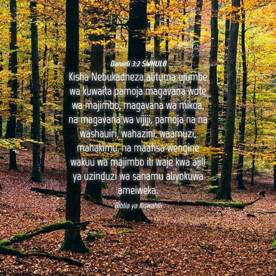 Picture 04 - Danieli 3:2 SWHULB - Kisha Nebukadneza alituma ujumbe wa kuwaita - Bible Verse Picture