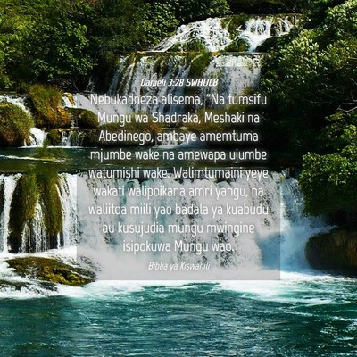 Picture 04 - Danieli 3:28 SWHULB - Nebukadneza alisema, “Na tumsifu Mungu wa - Bible Verse Picture