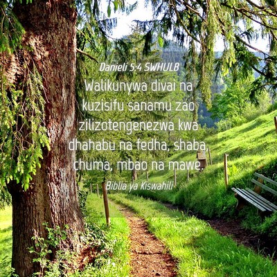 Picture 04 - Danieli 5:4 SWHULB - Walikunywa divai na kuzisifu sanamu zao - Bible Verse Picture