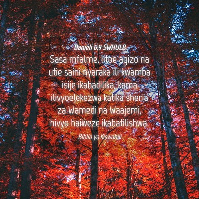 Picture 04 - Danieli 6:8 SWHULB - Sasa mfalme, litoe agizo na utie saini nyaraka - Bible Verse Picture