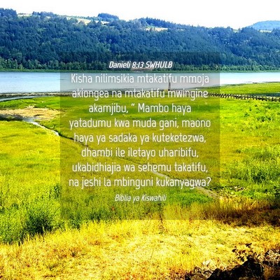 Picture 04 - Danieli 8:13 SWHULB - Kisha nilimsikia mtakatifu mmoja akiongea na - Bible Verse Picture