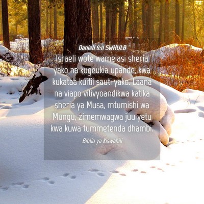 Picture 04 - Danieli 9:11 SWHULB - Israeli wote wameiasi sheria yako na kugeukia - Bible Verse Picture