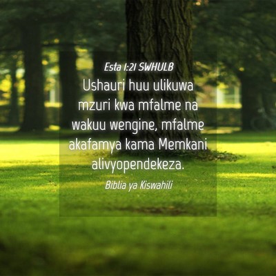 Picture 04 - Esta 1:21 SWHULB - Ushauri huu ulikuwa mzuri kwa mfalme na wakuu - Bible Verse Picture