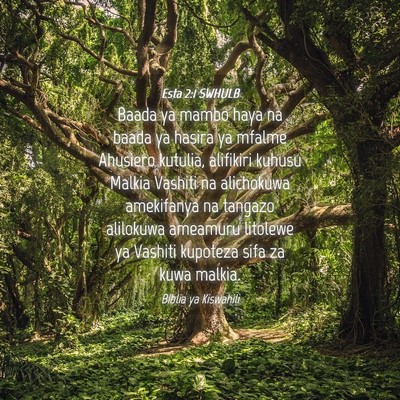 Picture 04 - Esta 2:1 SWHULB - Baada ya mambo haya na baada ya hasira ya mfalme - Bible Verse Picture