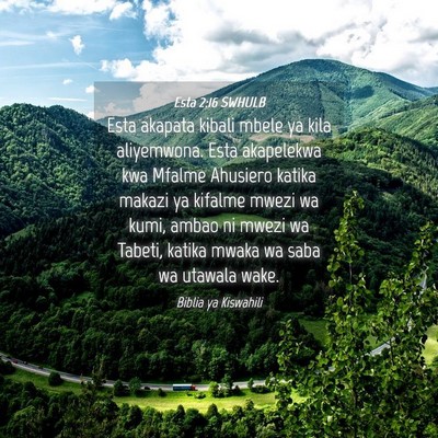 Picture 04 - Esta 2:16 SWHULB - Esta akapata kibali mbele ya kila aliyemwona. - Bible Verse Picture