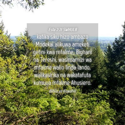 Picture 04 - Esta 2:21 SWHULB - katika siku hizo ambazo Modekai alikuwa ameketi - Bible Verse Picture