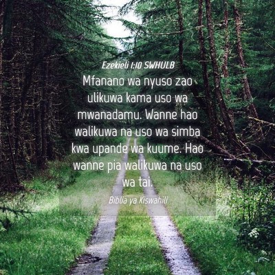Picture 04 - Ezekieli 1:10 SWHULB - Mfanano wa nyuso zao ulikuwa kama uso wa - Bible Verse Picture