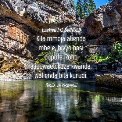 Picture 04 - Ezekieli 1:12 SWHULB - Kila mmoja alienda mbele, hivyo basi popote Roho - Bible Verse Picture