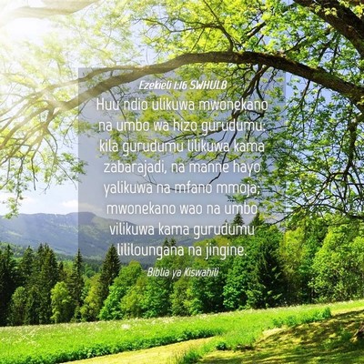 Picture 04 - Ezekieli 1:16 SWHULB - Huu ndio ulikuwa mwonekano na umbo wa hizo - Bible Verse Picture