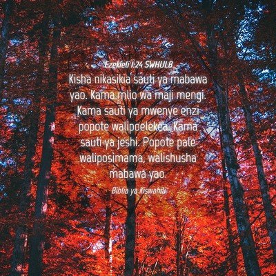Picture 04 - Ezekieli 1:24 SWHULB - Kisha nikasikia sauti ya mabawa yao. Kama mlio wa - Bible Verse Picture