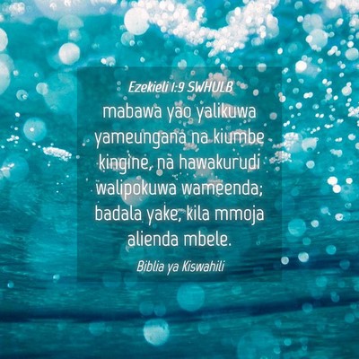 Picture 04 - Ezekieli 1:9 SWHULB - mabawa yao yalikuwa yameungana na kiumbe kingine, - Bible Verse Picture