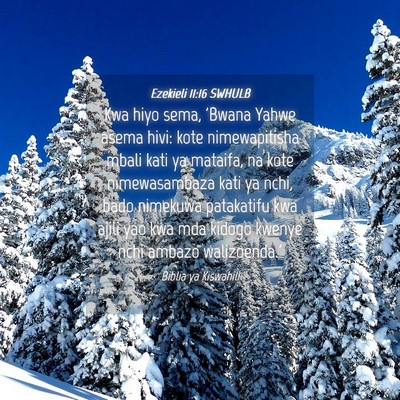 Picture 04 - Ezekieli 11:16 SWHULB - Kwa hiyo sema, 'Bwana Yahwe asema hivi: kote - Bible Verse Picture