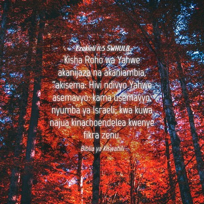 Picture 04 - Ezekieli 11:5 SWHULB - Kisha Roho wa Yahwe akanijaza na akaniambia, - Bible Verse Picture
