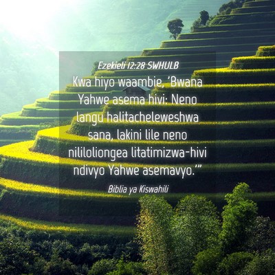 Picture 04 - Ezekieli 12:28 SWHULB - Kwa hiyo waambie, 'Bwana Yahwe asema hivi: Neno - Bible Verse Picture