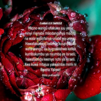 Picture 04 - Ezekieli 13:9 SWHULB - Mkono wangu utakuwa juu yenu ninyi manabii - Bible Verse Picture