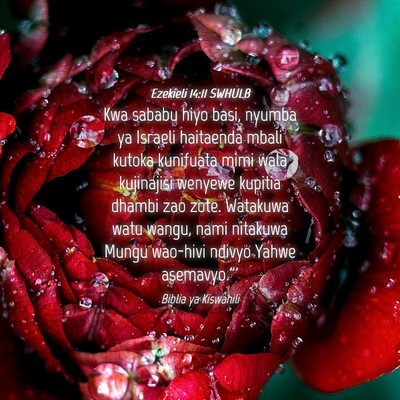 Picture 04 - Ezekieli 14:11 SWHULB - Kwa sababu hiyo basi, nyumba ya Israeli haitaenda - Bible Verse Picture