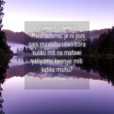 Picture 04 - Ezekieli 15:2 SWHULB - “Mwanadamu, je ni jisni gani mzabibu ulivo bora - Bible Verse Picture