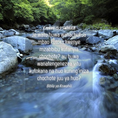 Picture 04 - Ezekieli 15:3 SWHULB - Je watu huwa wanachukua mbao kutoka kwenye - Bible Verse Picture