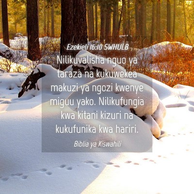 Picture 04 - Ezekieli 16:10 SWHULB - Nilikuvalisha nguo ya taraza na kukuwekea makuzi - Bible Verse Picture