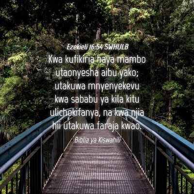 Picture 04 - Ezekieli 16:54 SWHULB - Kwa kufikiria haya mambo utaonyesha aibu yako; - Bible Verse Picture