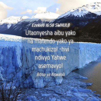Picture 04 - Ezekieli 16:58 SWHULB - Utaonyesha aibu yako na matendo yako ya - Bible Verse Picture