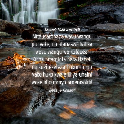 Picture 04 - Ezekieli 17:20 SWHULB - Nitausambaza wavu wangu juu yake, na atanaswa - Bible Verse Picture
