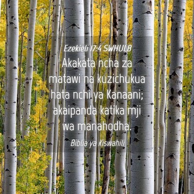Picture 04 - Ezekieli 17:4 SWHULB - Akakata ncha za matawi na kuzichukua hata nchi ya - Bible Verse Picture
