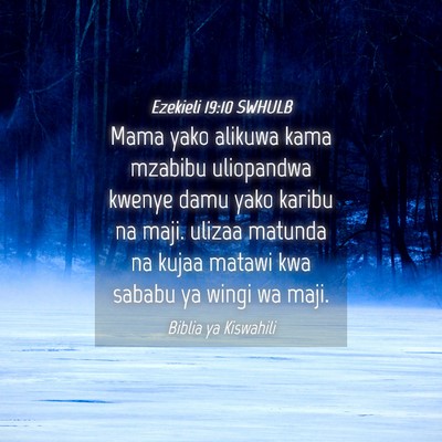 Picture 04 - Ezekieli 19:10 SWHULB - Mama yako alikuwa kama mzabibu uliopandwa kwenye - Bible Verse Picture
