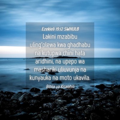 Picture 04 - Ezekieli 19:12 SWHULB - Lakini mzabibu uling'olewa kwa ghadhabu na - Bible Verse Picture