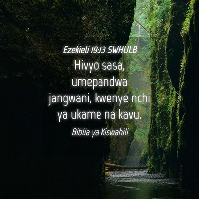 Picture 04 - Ezekieli 19:13 SWHULB - Hivyo sasa, umepandwa jangwani, kwenye nchi ya - Bible Verse Picture