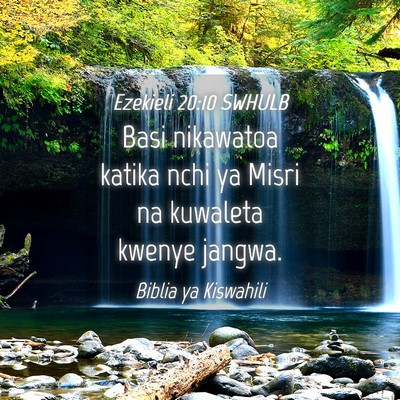 Picture 04 - Ezekieli 20:10 SWHULB - Basi nikawatoa katika nchi ya Misri na kuwaleta - Bible Verse Picture