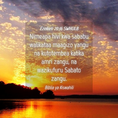 Picture 04 - Ezekieli 20:16 SWHULB - Nimeapa hivi kwa sababu walikataa maagizo yangu - Bible Verse Picture
