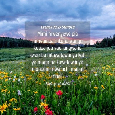 Picture 04 - Ezekieli 20:23 SWHULB - Mimi mwenyewe pia nimeuinua mkono wangu kuapa juu - Bible Verse Picture