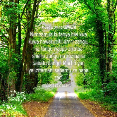 Picture 04 - Ezekieli 20:24 SWHULB - Nimeamua kufanya hivi kwa kuwa hawakuzitii amri - Bible Verse Picture