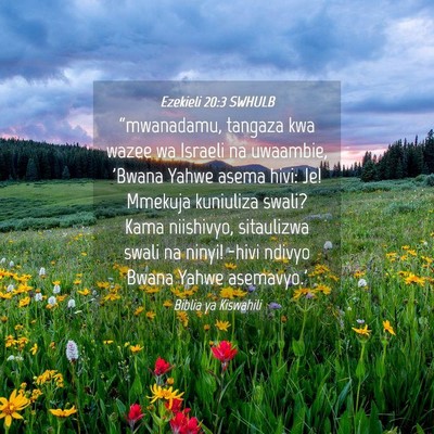 Picture 04 - Ezekieli 20:3 SWHULB - “mwanadamu, tangaza kwa wazee wa Israeli na - Bible Verse Picture