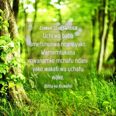 Picture 04 - Ezekieli 22:10 SWHULB - Uchi wa baba umefunuliwa ndani yako. Wamemtukana - Bible Verse Picture