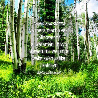 Picture 04 - Ezekieli 23:16 SWHULB - Na mara macho yake yalipowaona, aliwatamani, - Bible Verse Picture