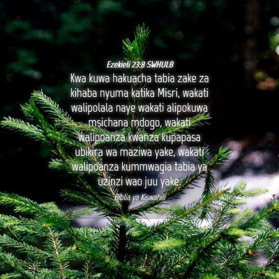Picture 04 - Ezekieli 23:8 SWHULB - Kwa kuwa hakuacha tabia zake za kihaba nyuma - Bible Verse Picture